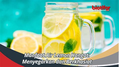 Manfaat Air Lemon Hangat